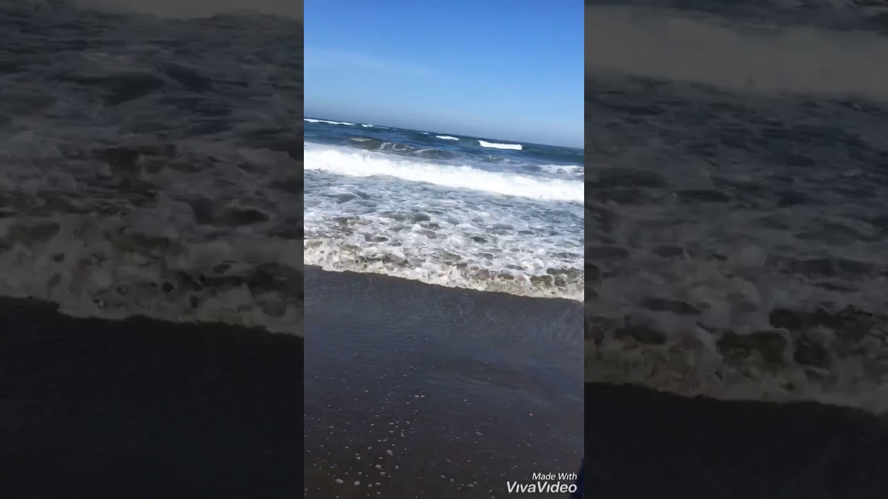 Pesca lenguado 5ta Regi&oacute;n