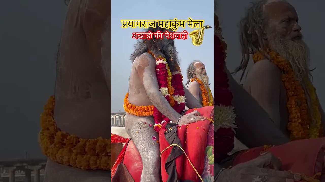 Mahakumbh Mela🔱 #mahakumbh2025 #mahakumbh #prayagraj #naga #feeling #sanatandharma #shorts
