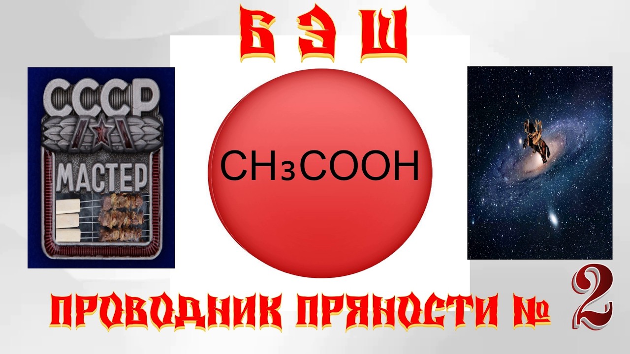 КОВАРНЫЙ, БЕСПОЩАДНЫЙ  CH₃COOH ПРОВОДНИК ПРЯНОСТЕЙ ДЛЯ ШАШЛЫКА №2 шашлык мангал шампур плов