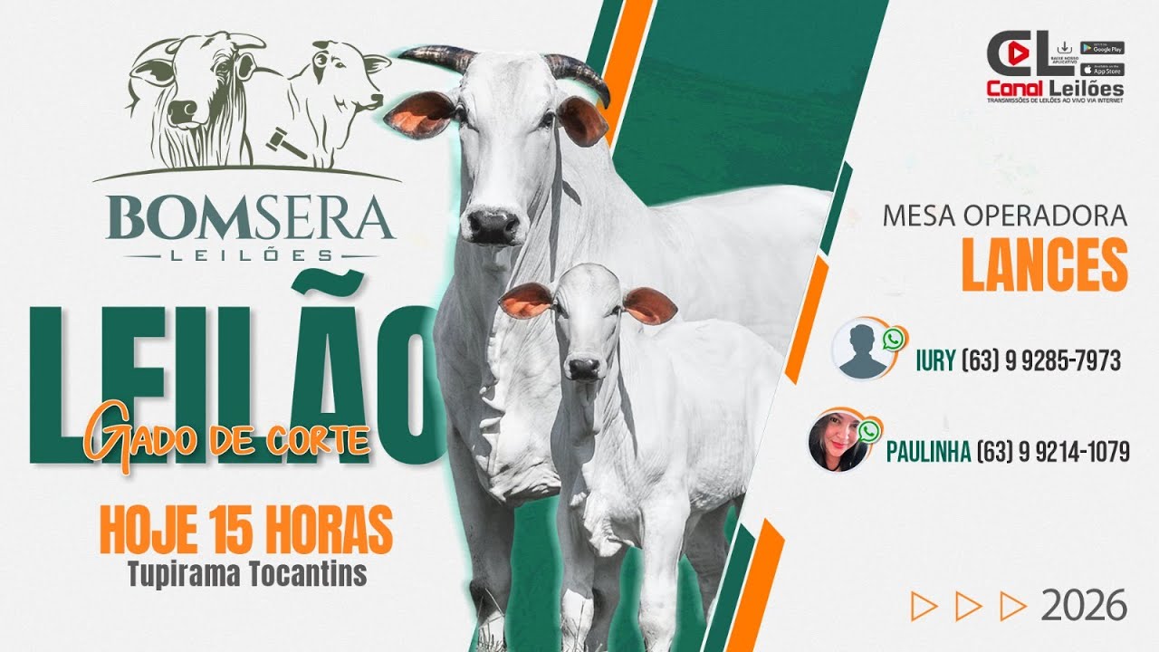 LEILÃO GADO DE CORTE BOM SERÁ LEILÕES | TUPIRAMA-TO 27/02/2026