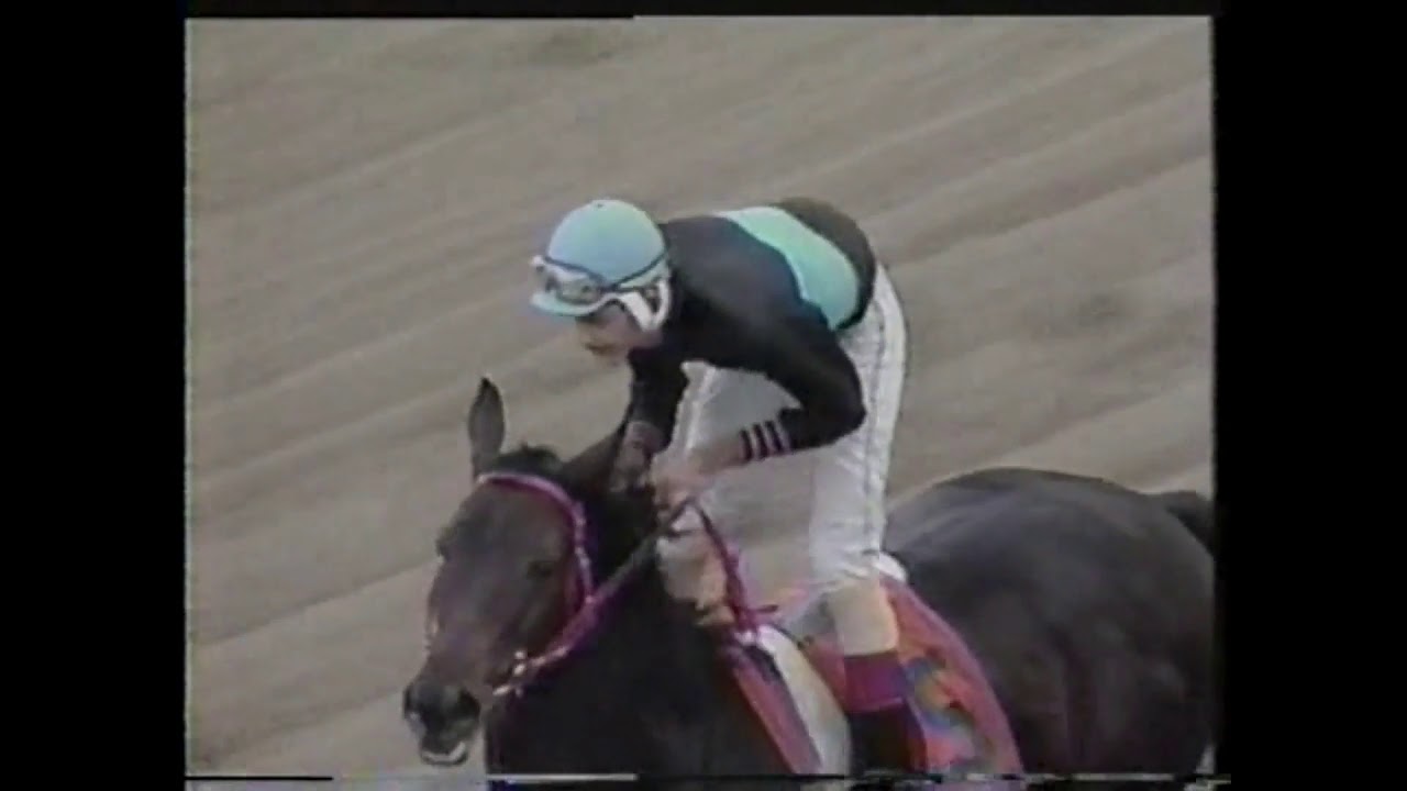 PERFECTION - Con H&eacute;ctor Luis Monge - Noviembre 1991
