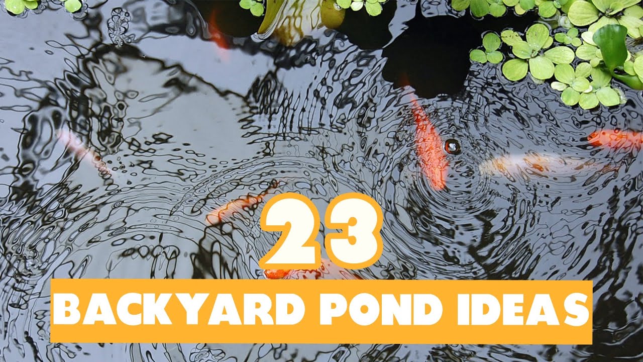 23 Backyard Pond Ideas: Our Top Picks