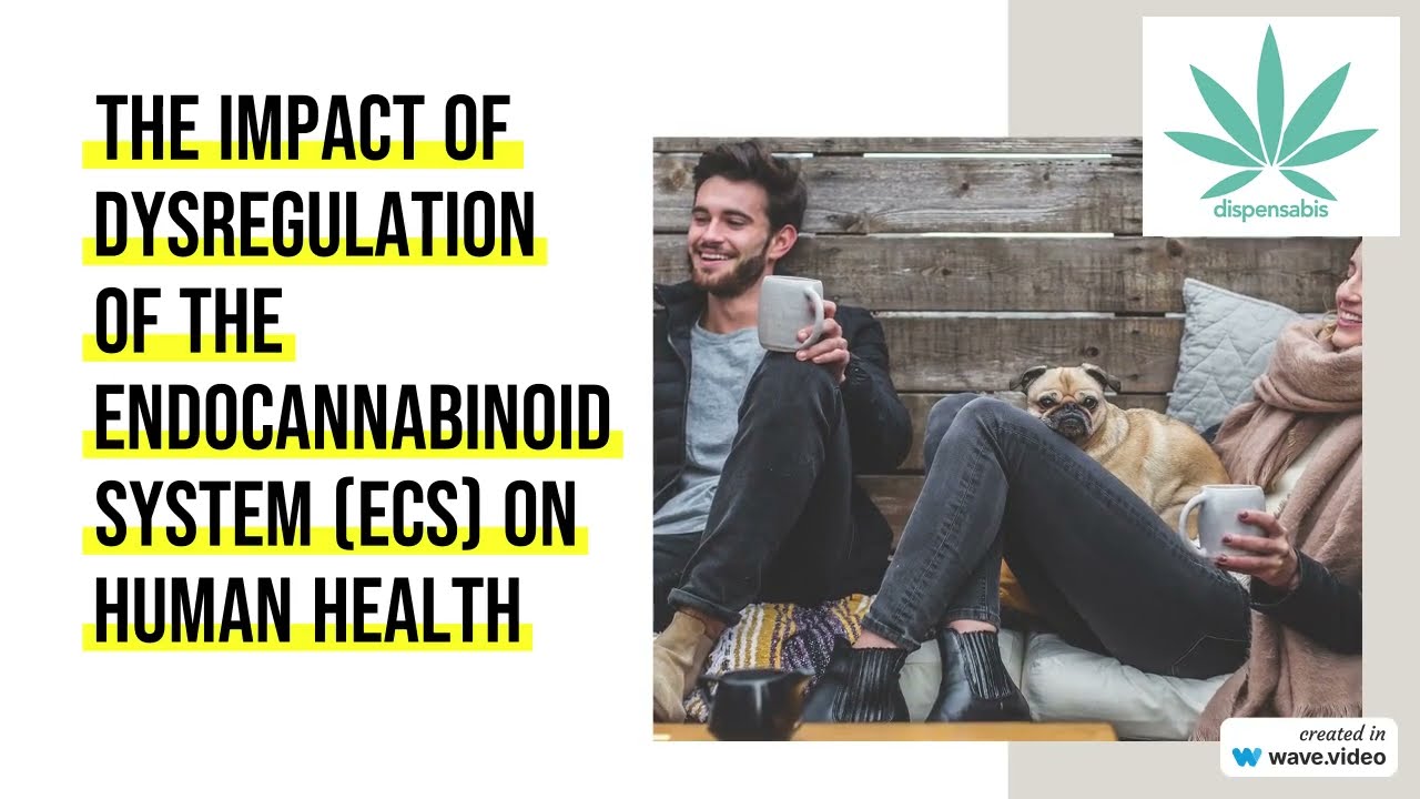 The Impact of Dysregulation of the Endocannabinoid System (ECS)