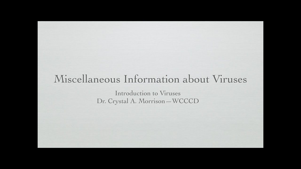 Lecture 11: Miscellaneous Info--Introduction to Viruses with Dr. Crystal A. Morrison
