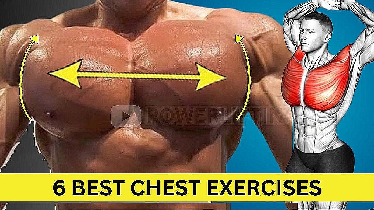 30 Days Chest Transformation Using Gym Workout (6 Effective Exercises) - Chest Workout