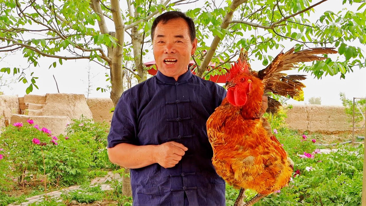 Большой петух тушится как "горшочный курицей" с лучшим вкусом! | дядя сельский гурман