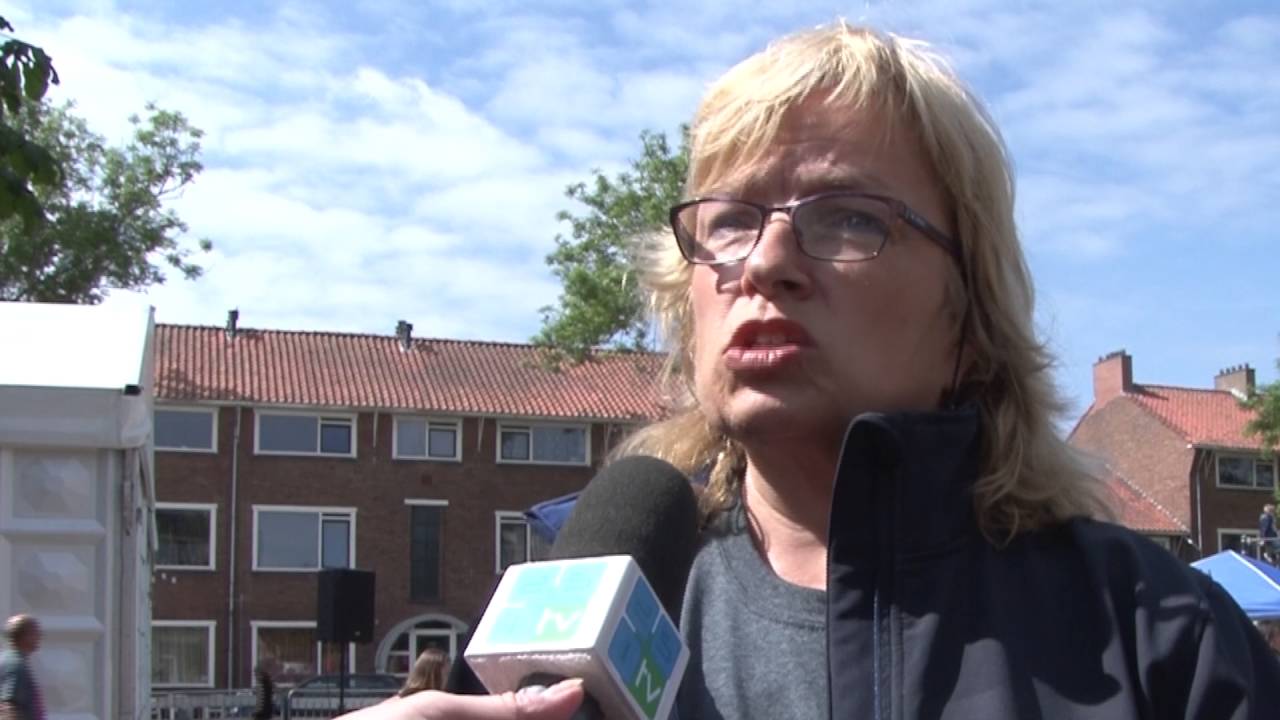 Dorpsfeest in Velsen-Noord 2016