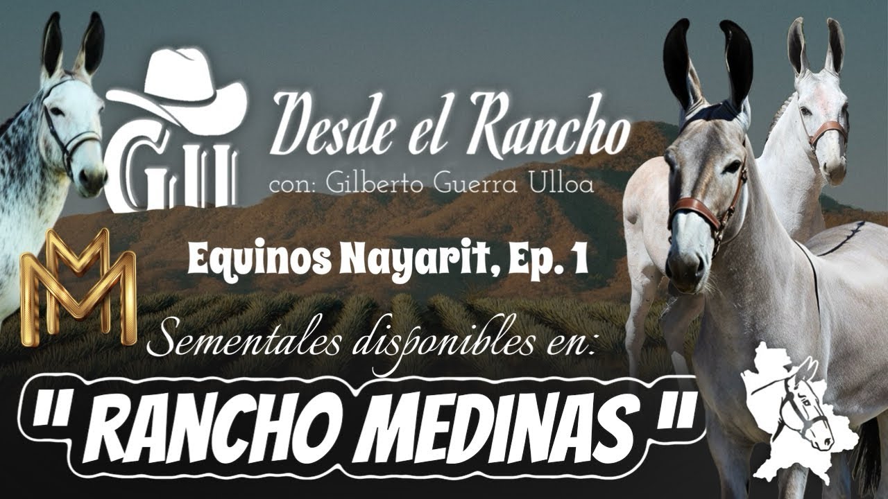 Gil Ulloa, Desde el Rancho arrancamos con la temporada Equinos Nayarit 2026, Ep. 1   🤠👌🏻🐴