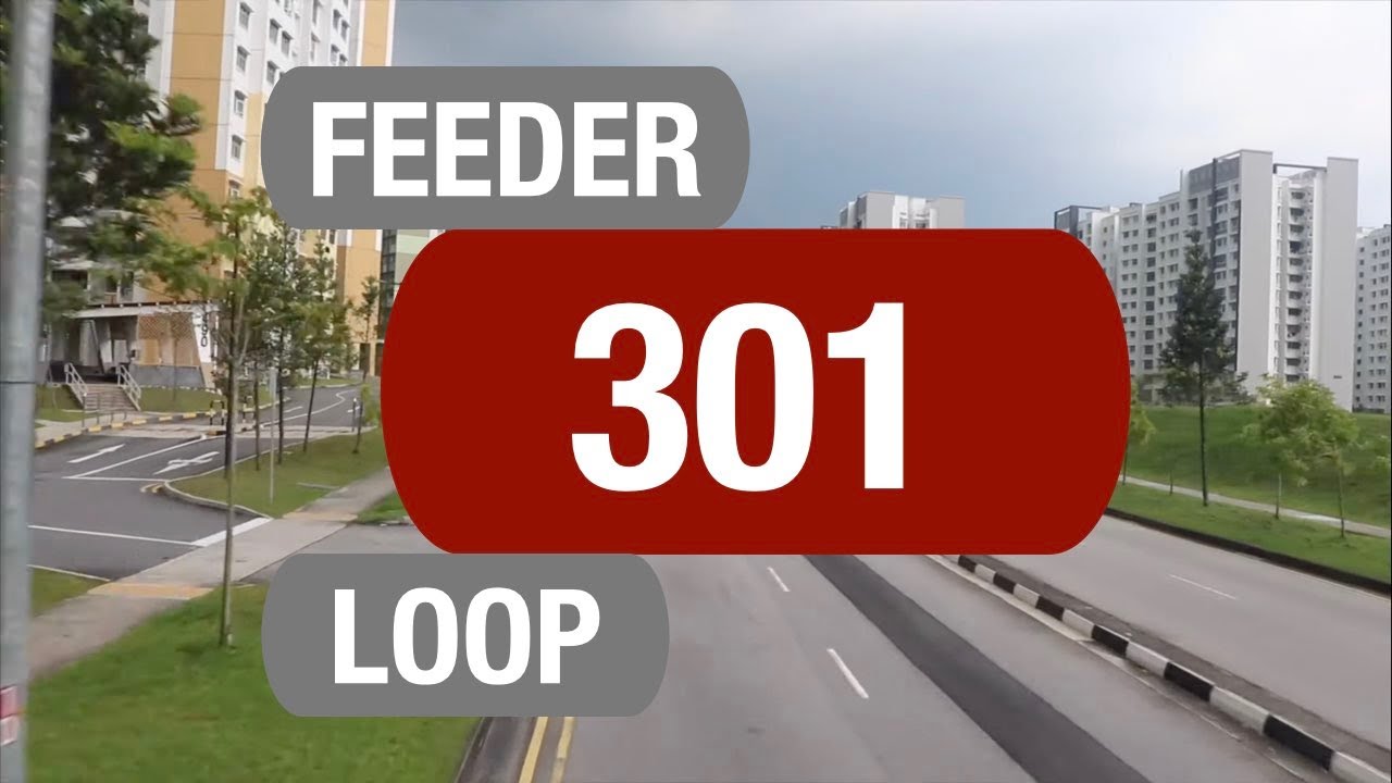 SMRT Buses Feeder 301 | Bus Service Route Visual