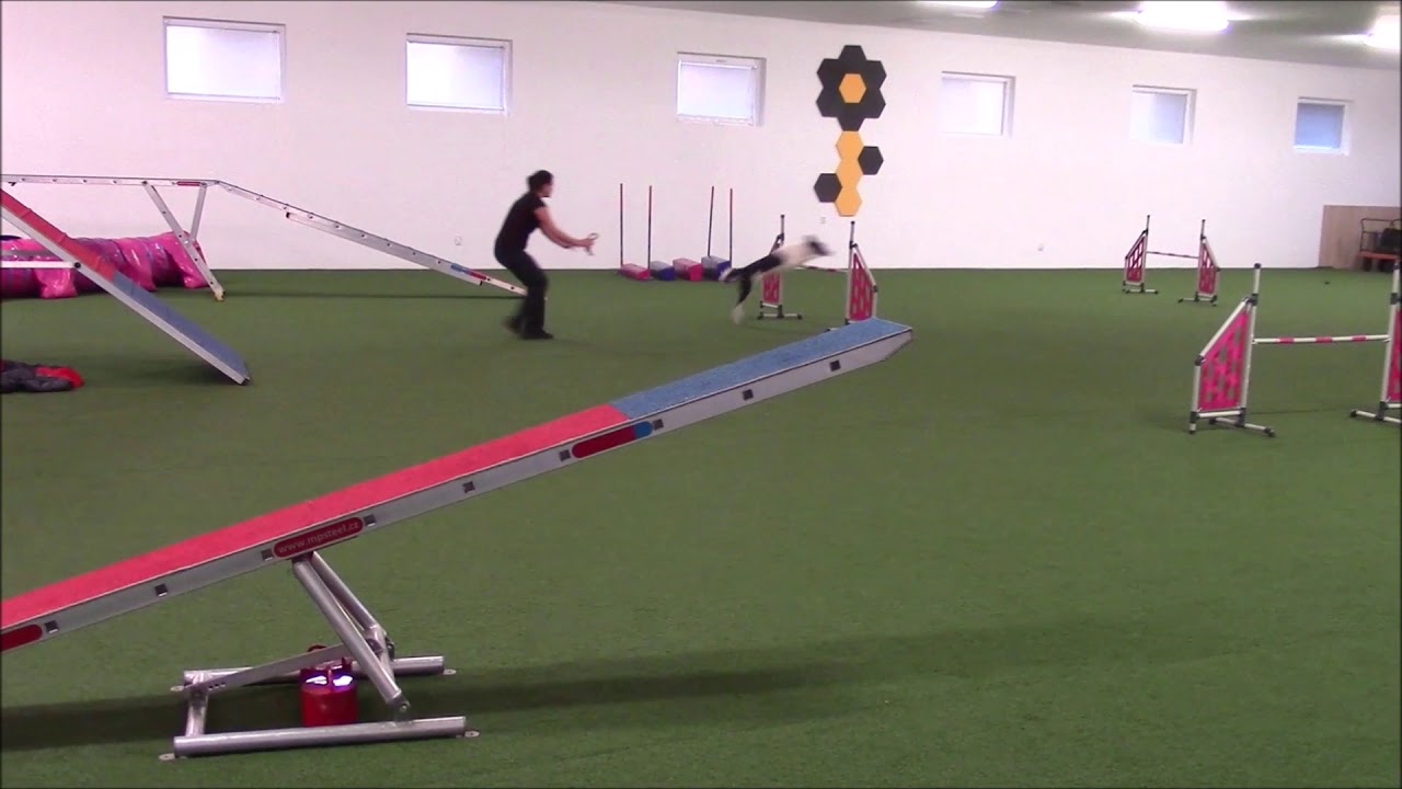 High, agility adult :)