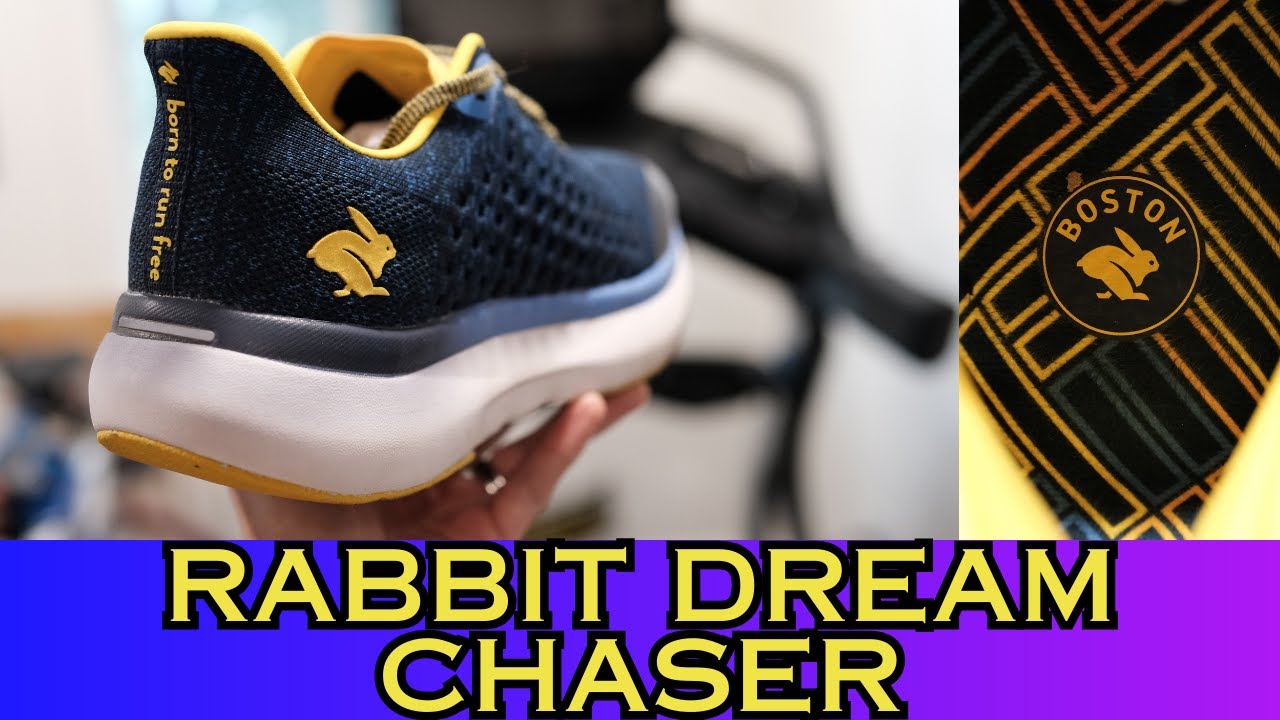 Rabbit Dream Chaser Initial Impressions Review!