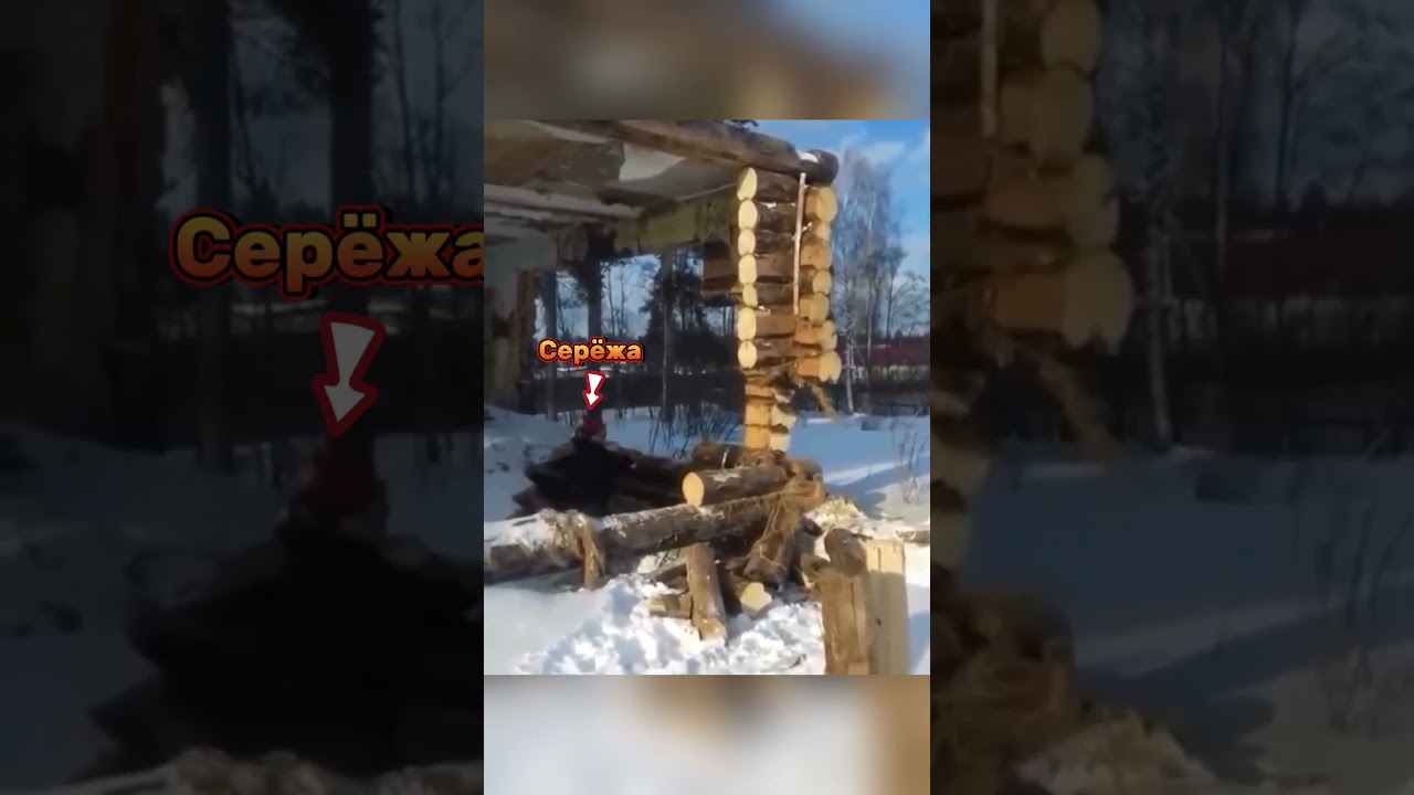выживает умнейший сильнейший..