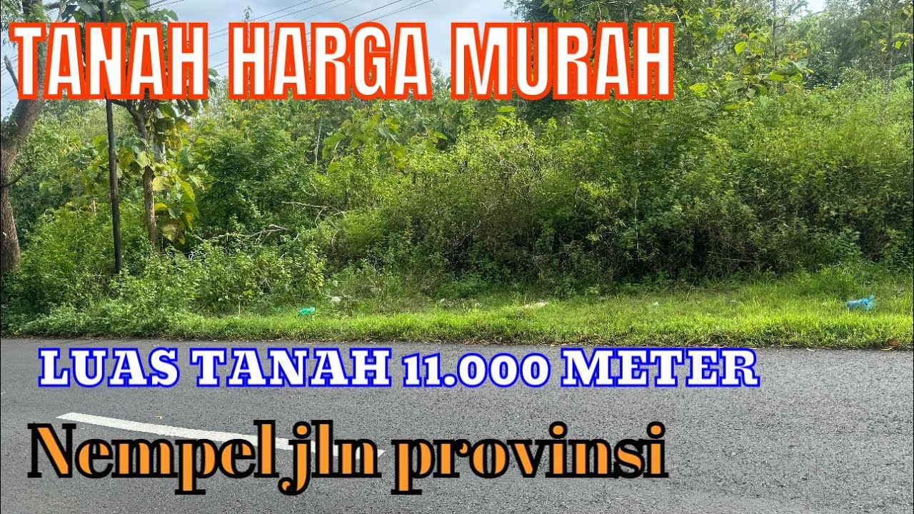 DI JUAL TANAH NEMPEL JLN PROVINSI LUAS 11.000 meter ( HARGA MURAH MERIAH )