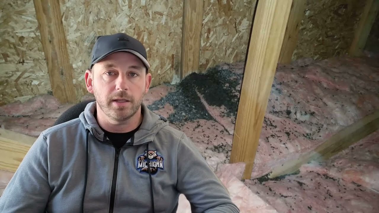 Free Wildlife Attic Restoration Inspection | Michigan Wildlife Solutions
