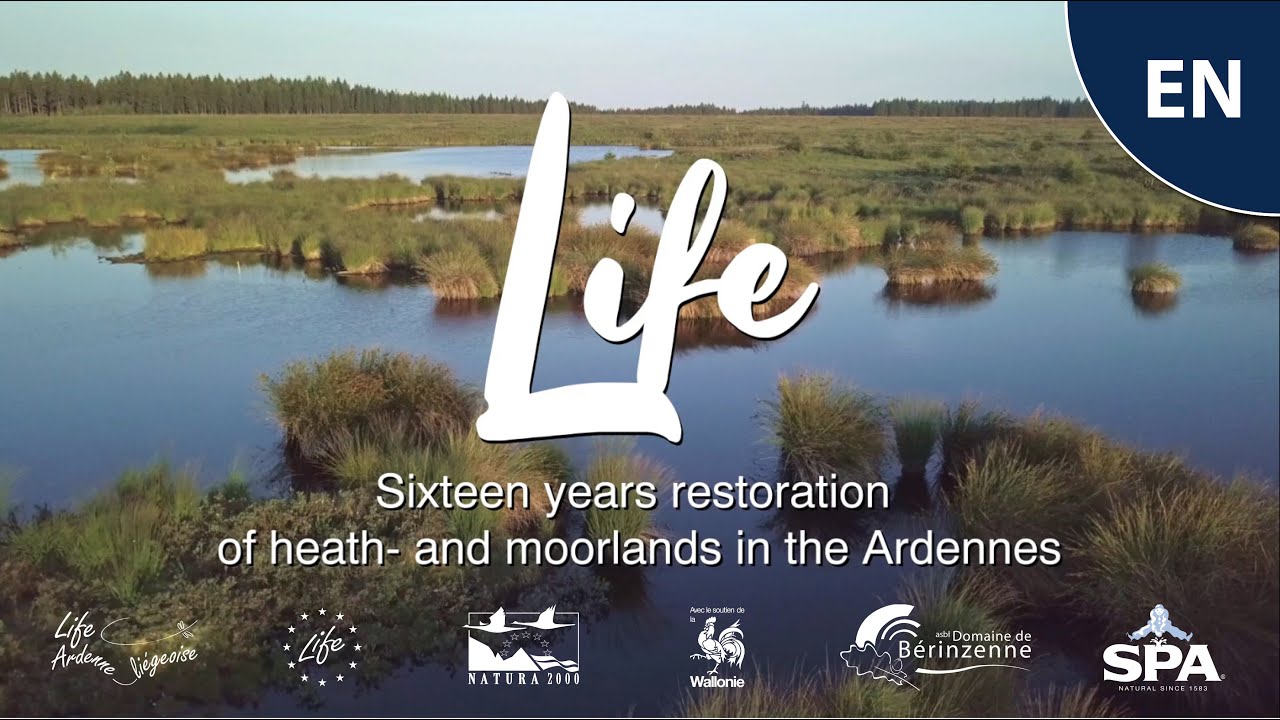 Film LIFE Ardenne li&eacute;geoise [EN]