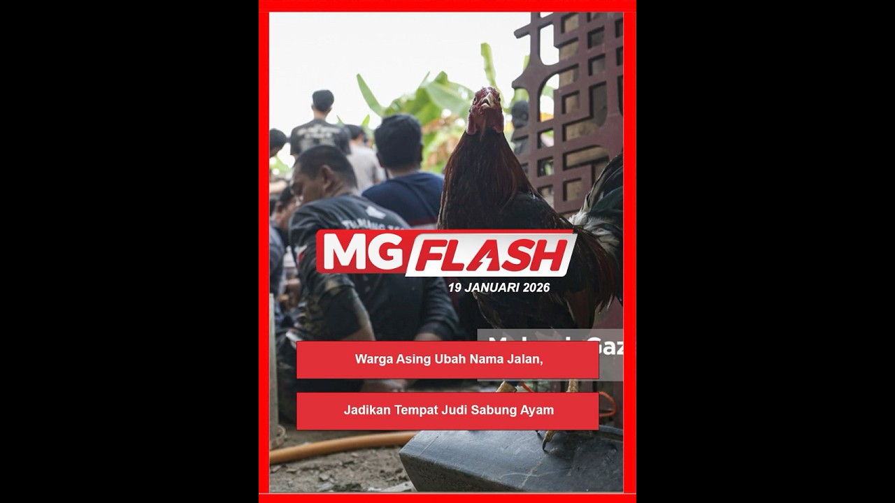Warga Asing Ubah Nama Jalan, Jadikan Tempat Judi Sabung Ayam 