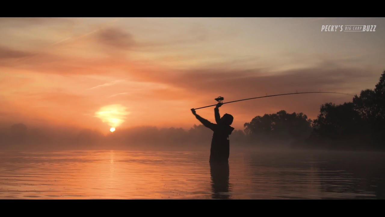 Pecky&rsquo;s Big Carp Buzz | Official Trailer