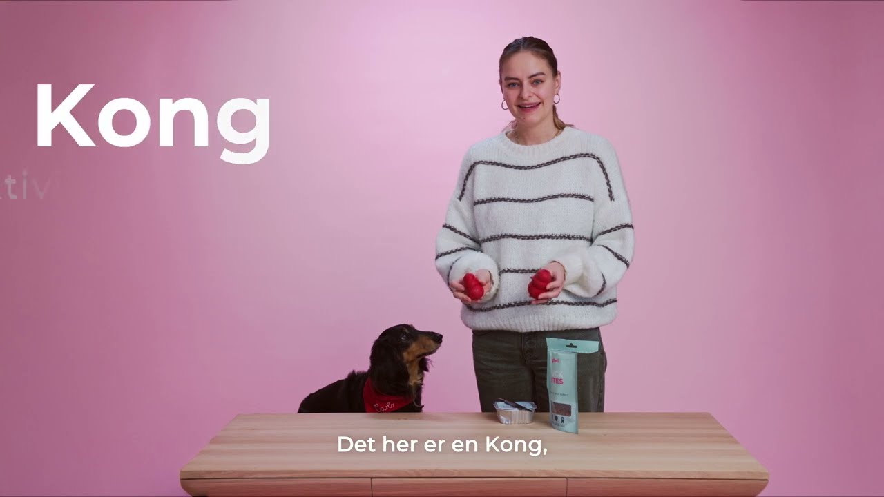 Din hunds nye yndlingsaktivitet? Sådan bruger du en KONG | Vuffeli