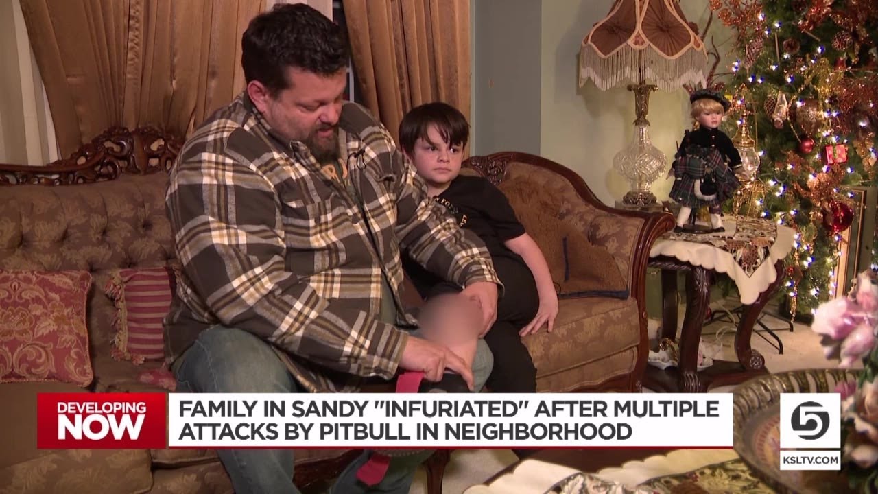 Sandy family 'infuriated' after Pitbull attacks multiple people in neighborhood