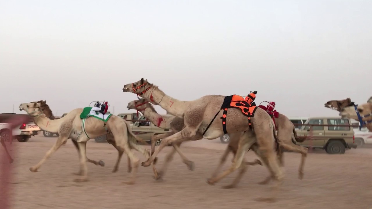 ميدان البدع