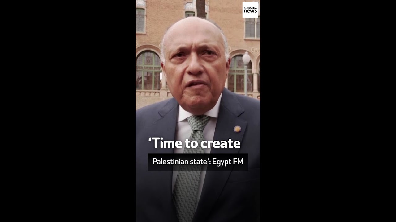 &lsquo;Time to create Palestinian state&rsquo;: Egypt FM