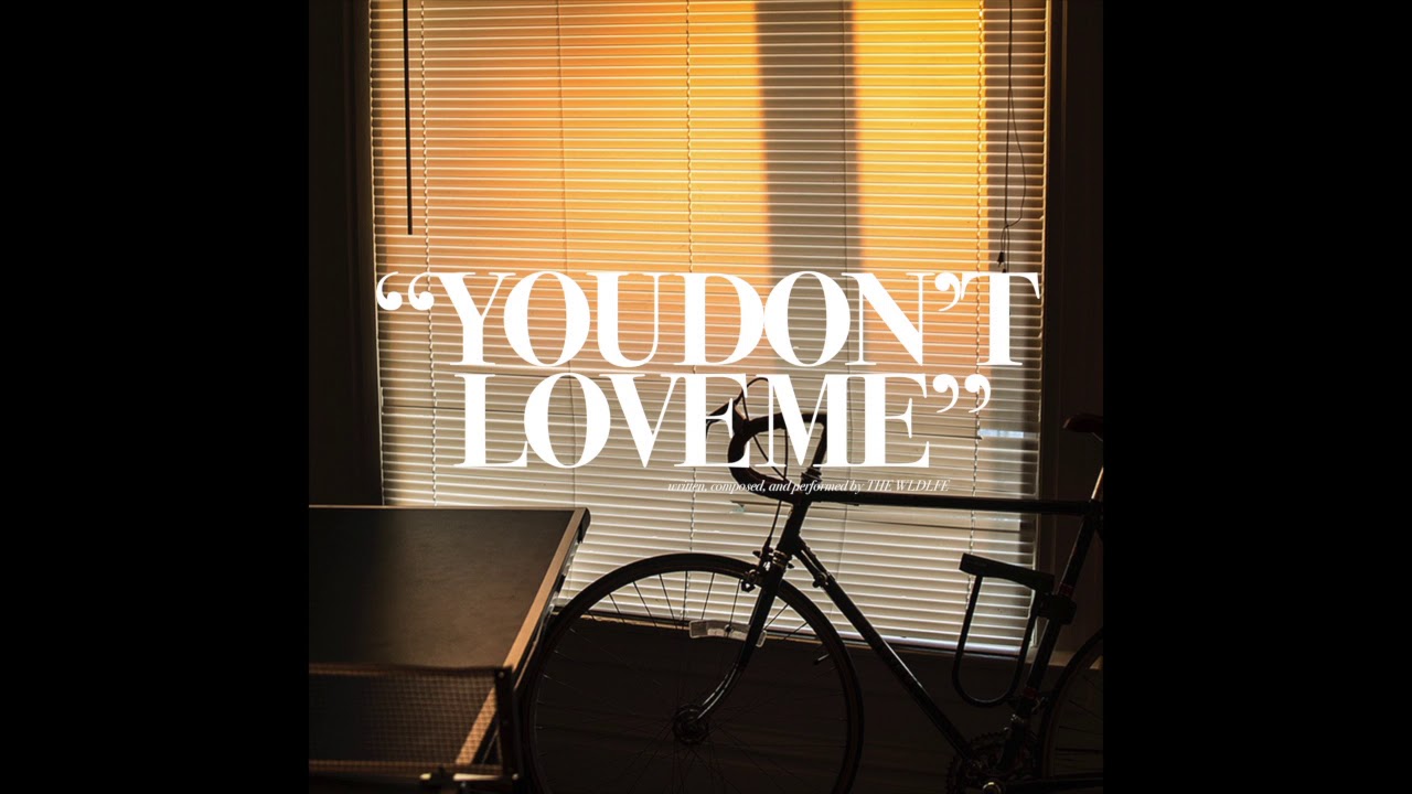 The Wldlfe - You Don't Love Me (Like You Used To)