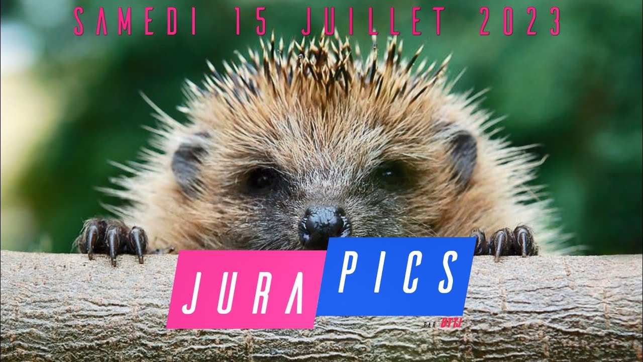 JURAPICS   2023