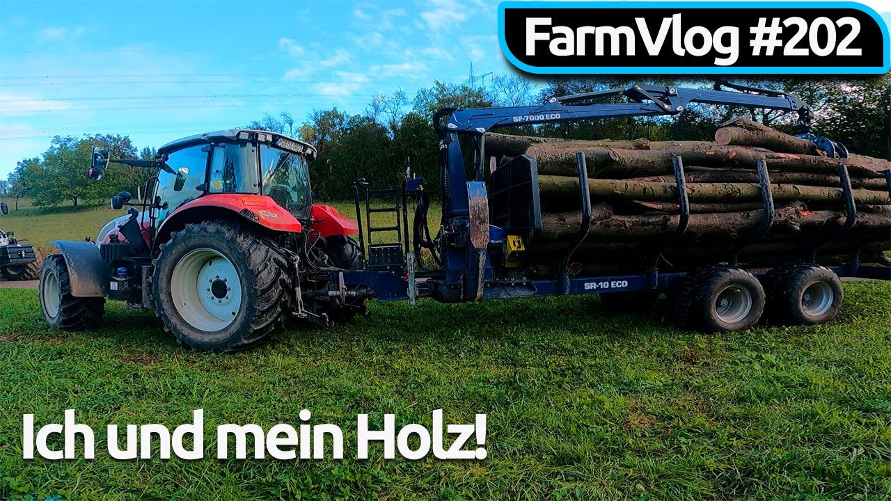 Vlog #202 Holz fahren mit Steyr 4110 Multi und Scheifele SRE10