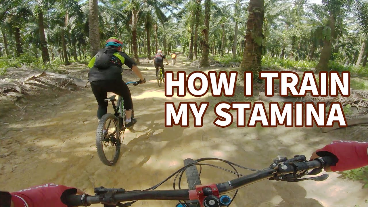 Trail Review | The Nearest MTB Trail For XC Riders and Beginners