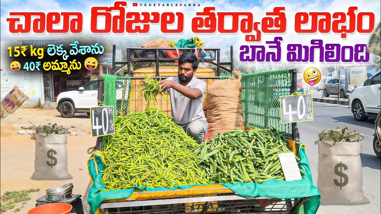చాలా రోజుల తర్వాత లాభం బాగా మిగిలింది 🤪💸💰//vegetableprices today#Bowenpally#vegetables #villagelife 