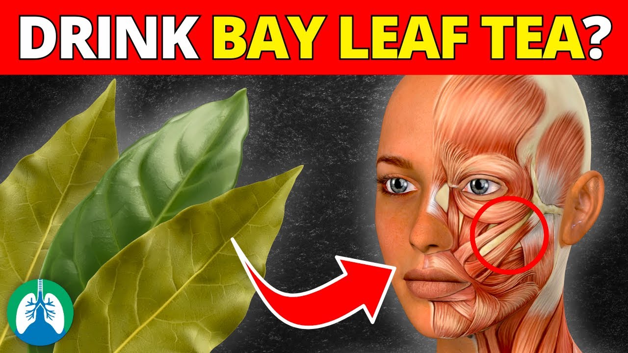 Top BENEFITS of Laurel Tea Used Since Ancient Greece | Bay Leaf Tea