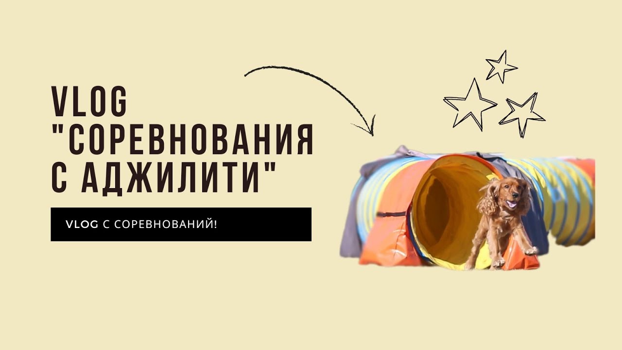 Влог 