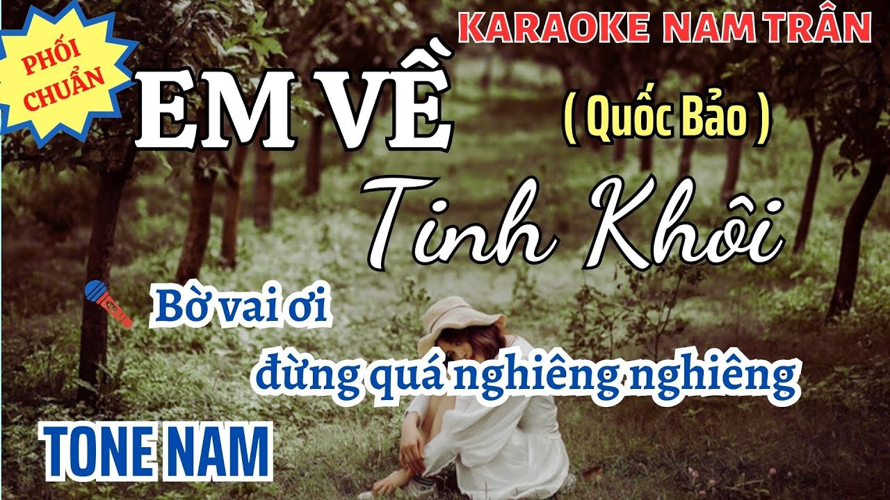 Karaoke Em Về Tinh Khôi (Hit Làn Sóng Xanh) Tone Nam | Nam Trân