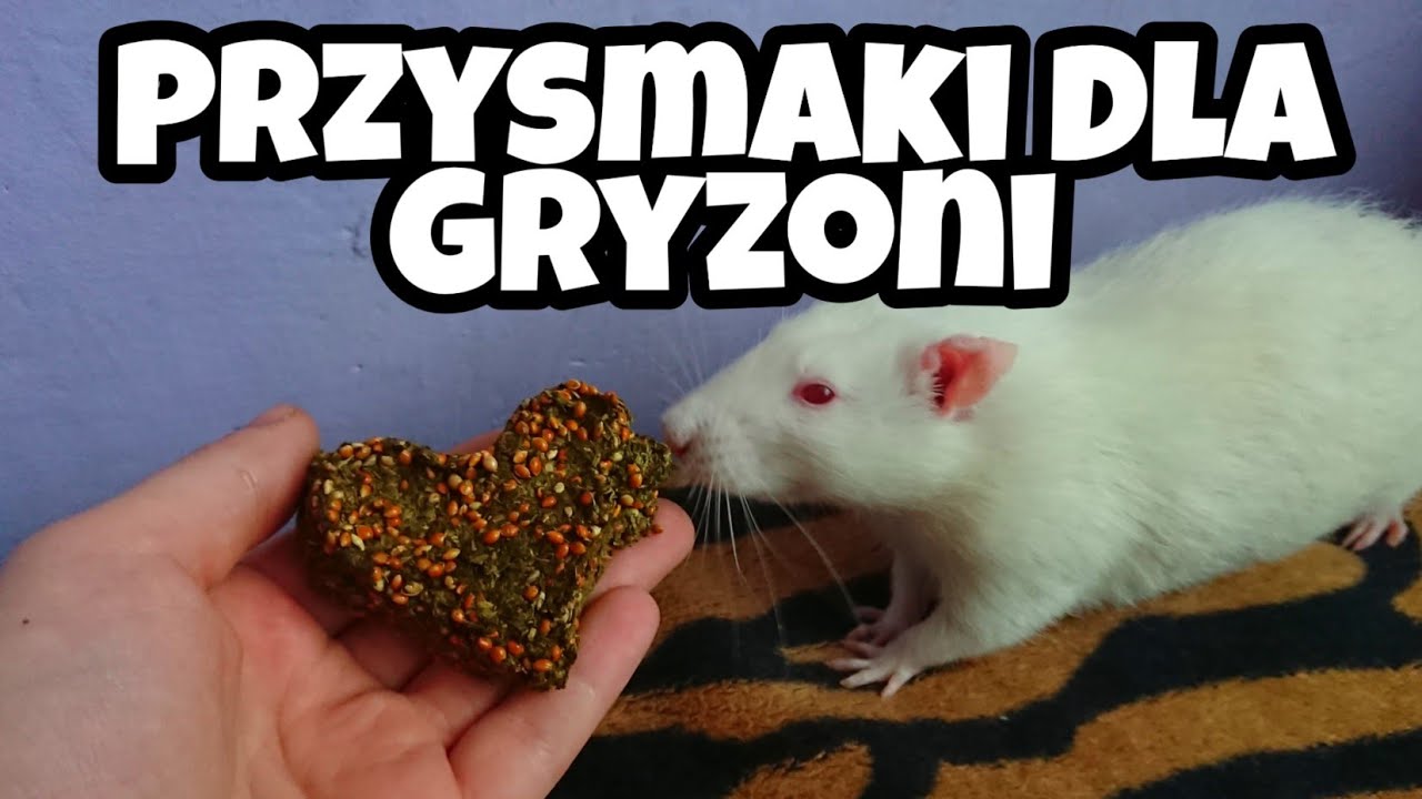 Przepisy na smakołyki (78) *opis*