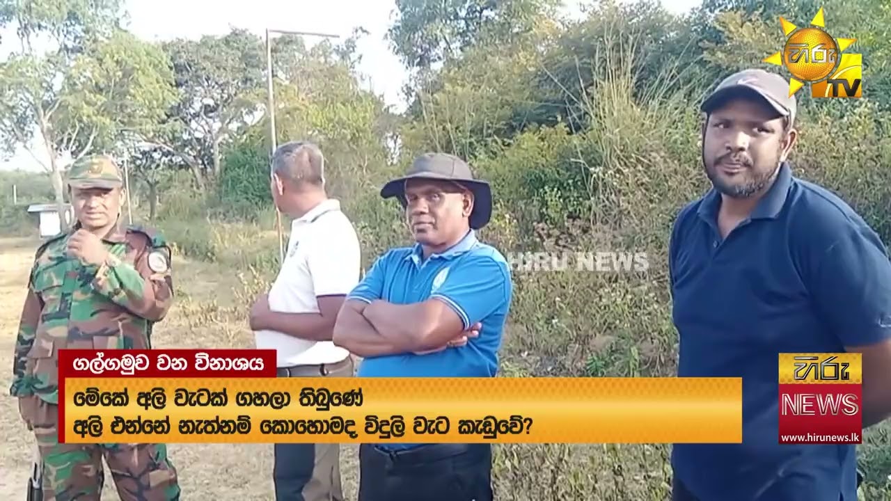 “අලි එන්නේ නැත්තම් කොහොමද විදුලි වැට කැඩුවේ” - ඇහැටුවැව මහ පරිමාණ වන විනාශයක් - Hiru News