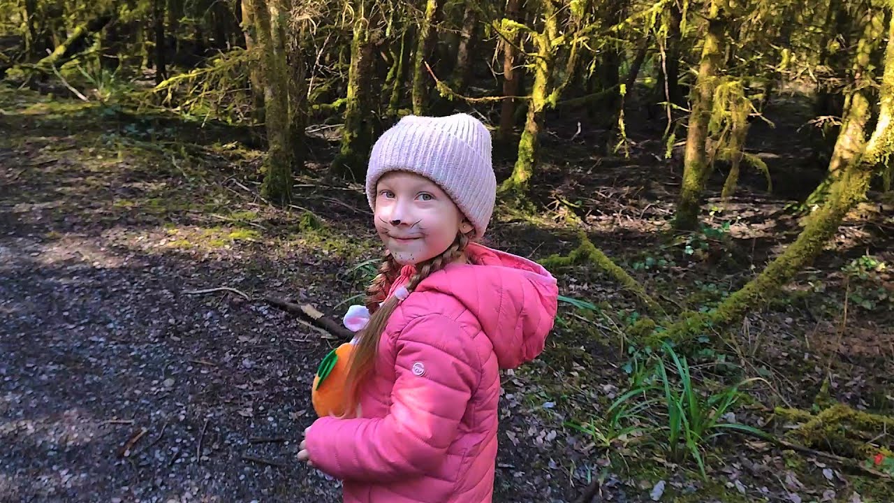 Carrabane Forest Walk, Life in Ireland