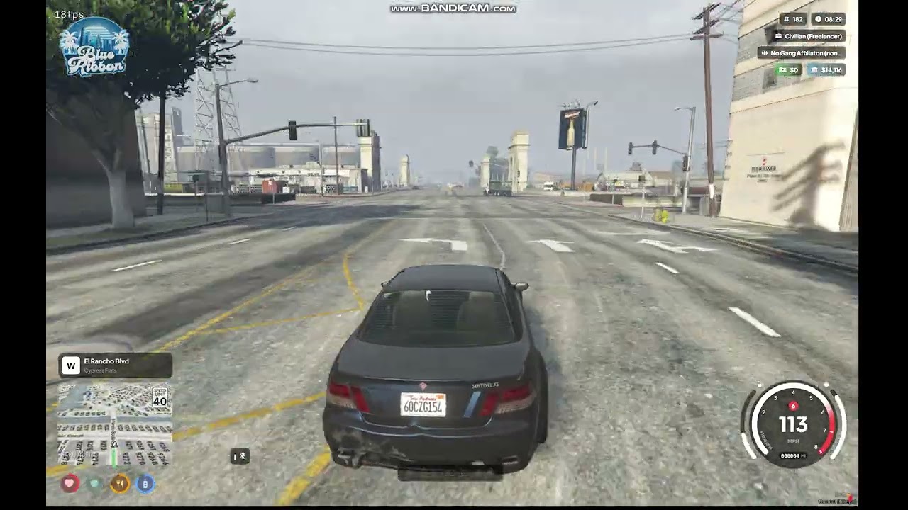 Store Robbery Gone wrong [Arrested]