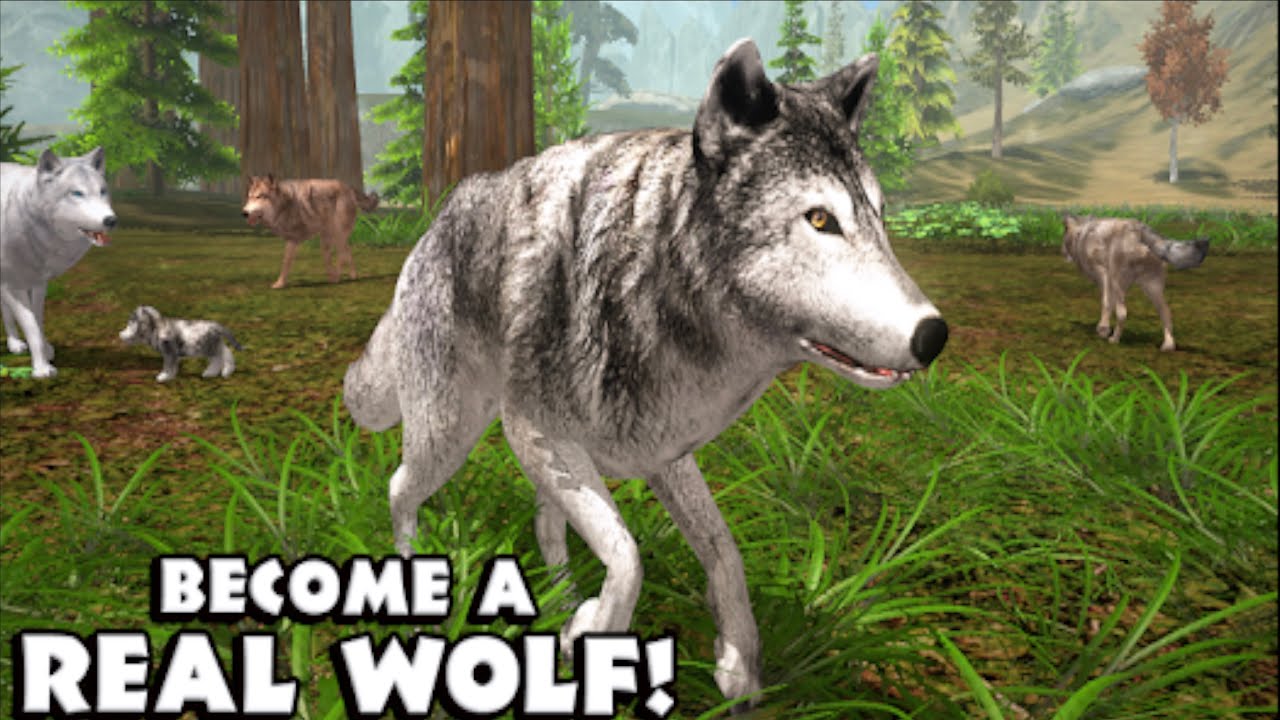 Wolf VS  Bear Fox Deer Rabbit Cougar Lynx Ultimate Wolf Simulator,