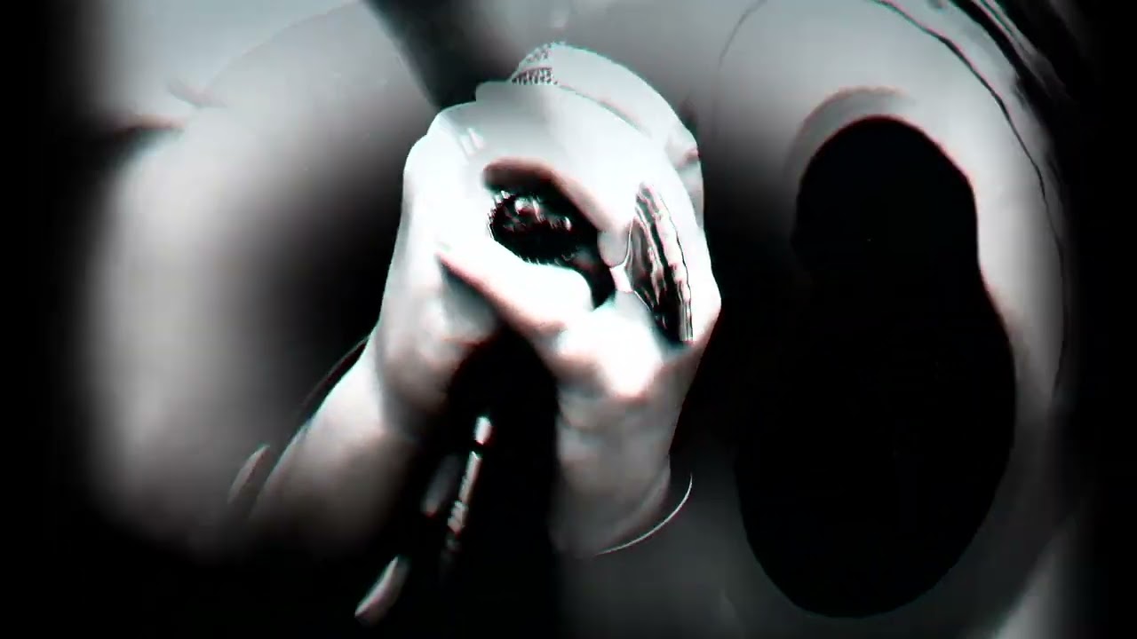 Seeds Of Loss- Terminal Trinity (VIDEO)