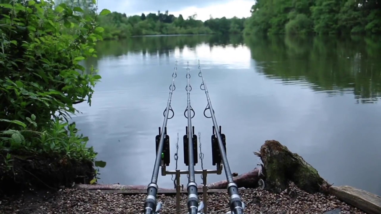 ***CARP FISHING*** Earlswood Terry's Lake Montage