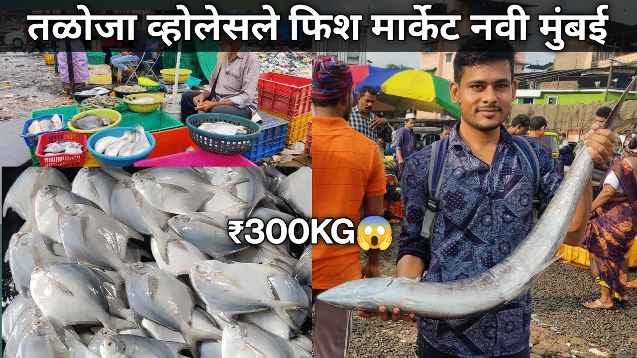 Taloja Macchi Market | Taloja Wholesale Fish Market | Wholesale Fish Market Taloja In Navi Mumbai