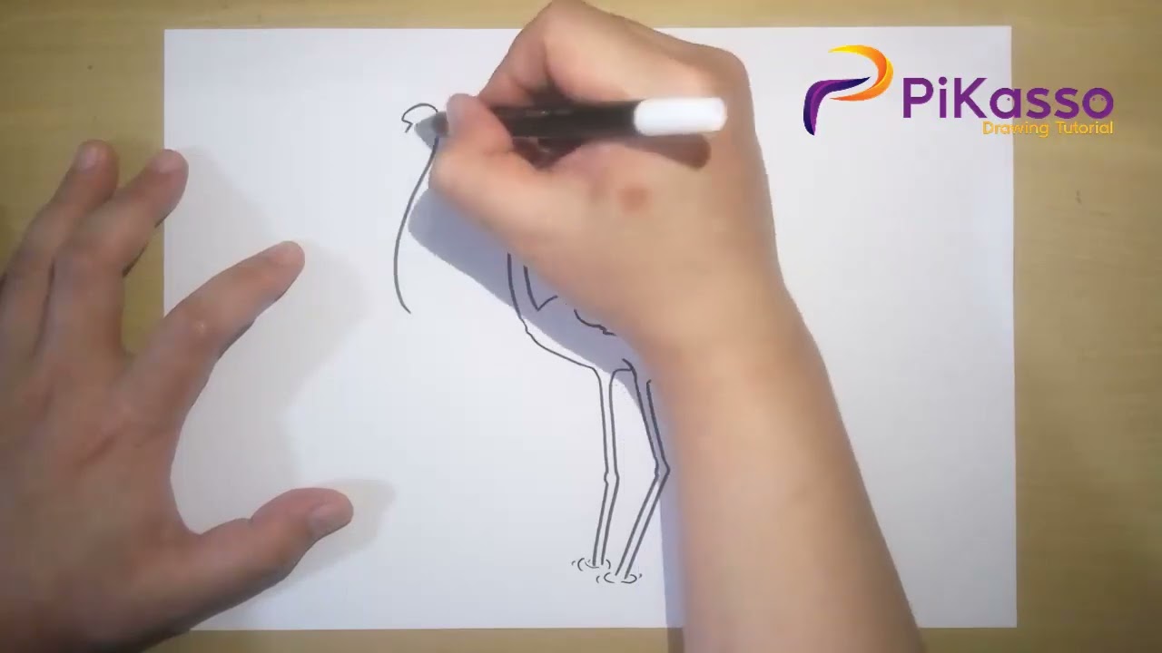 How to Draw a Group of Flamingos in The River