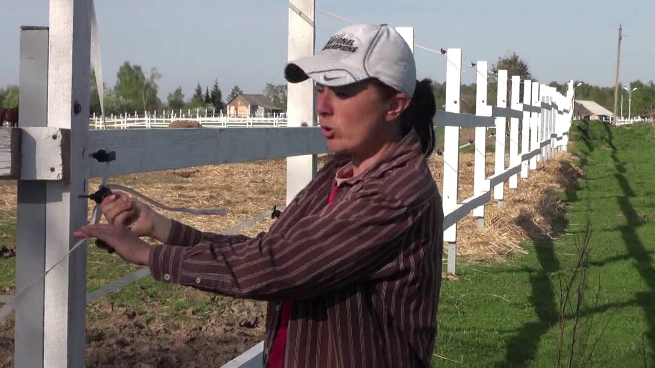 Использование электро пастуха на пастбище. Лошади.
