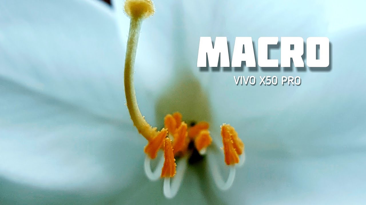 Vivo X50 Pro cinematic video | camera Test