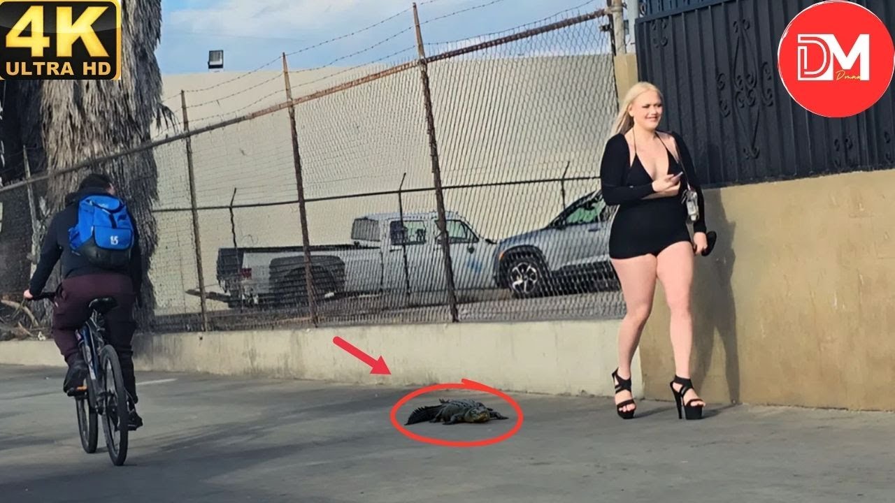 TOTAL IDIOTS AT WORK | Instant Regret Fails Compilation 2025 #471| Best Of The Week