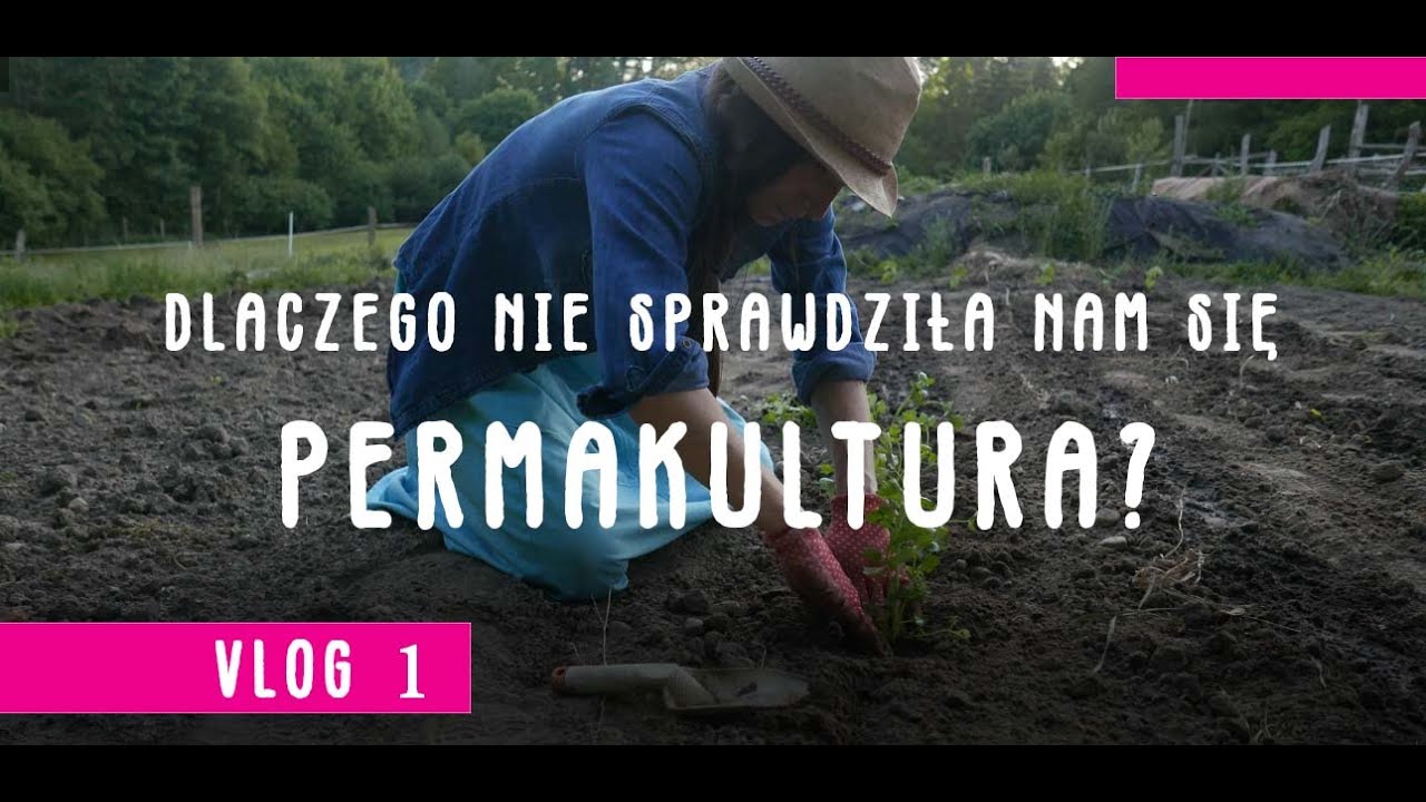 Dlaczego nie uprawiamy permakulturowo? | W MODRYM OGRODZIE | Vlog 1 |