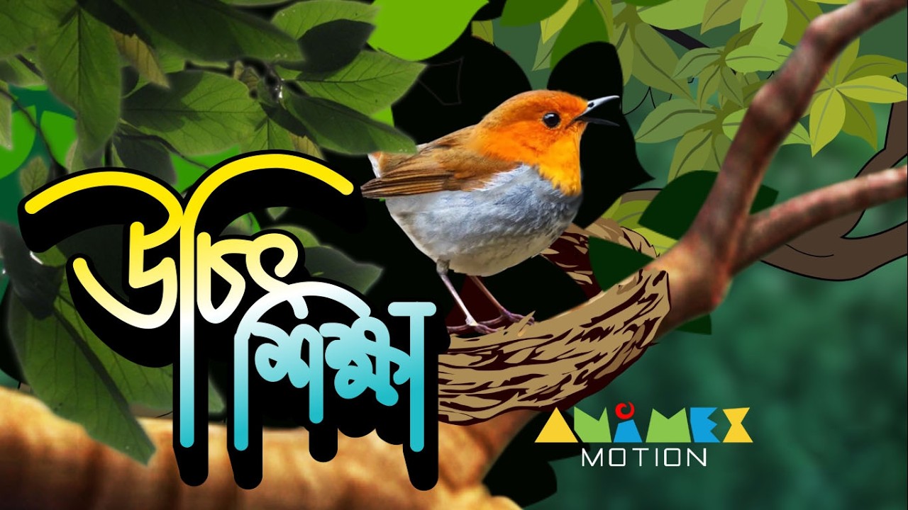 বন্ধু থেকে শত্রু// adultcartoon, banglacartoon, not for kids, dark humorcartoon, animationbangla,
