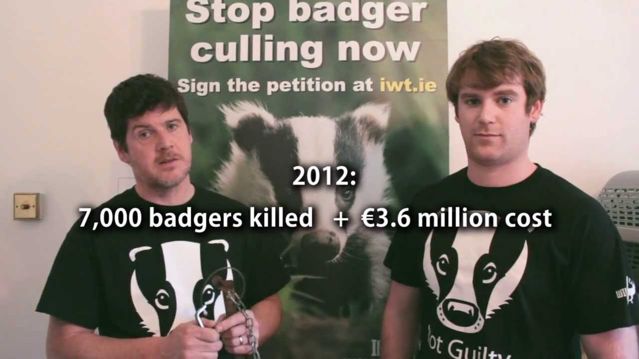 BADGER CULLING : Facts, Figures, Solutions