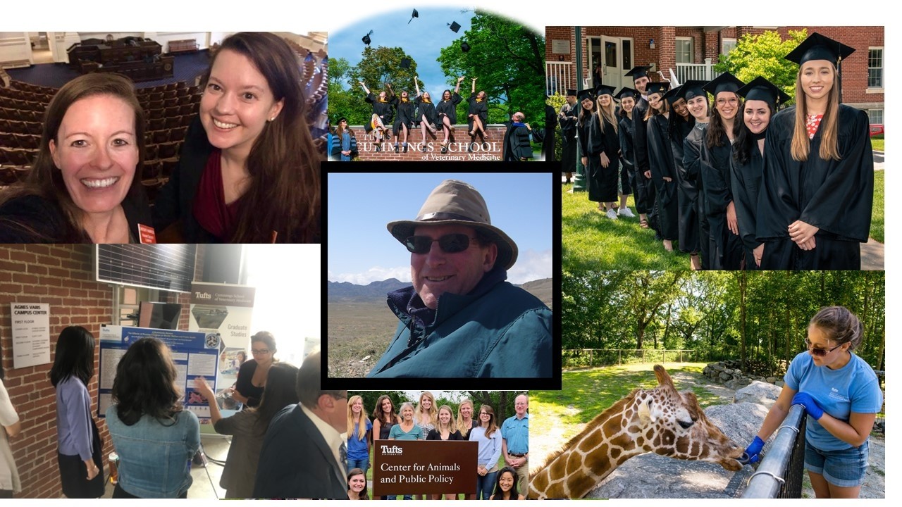 MAPP Informational Webinar with Dr. Allen Rutberg (Director), Feb. 26, 2026