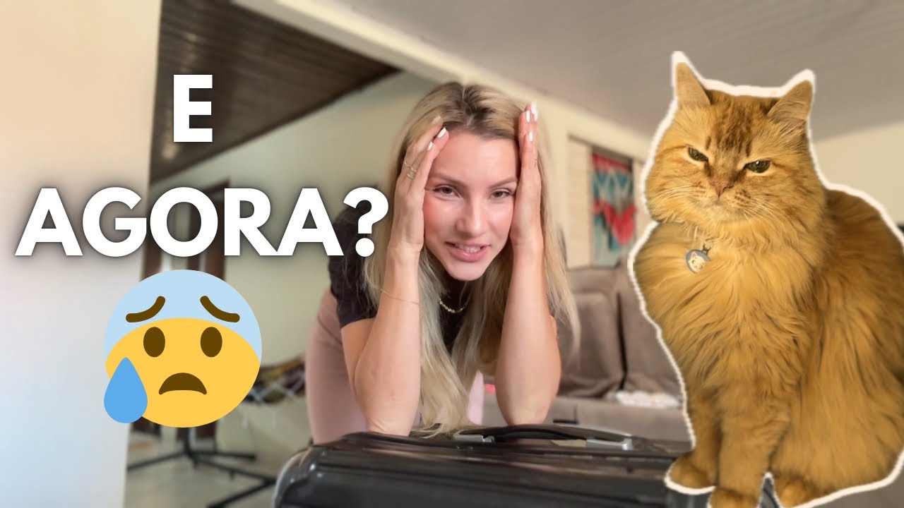 PARA LEVAR MEU PET PARA OS EUA PRECISO FAZER ISSO (NINGUÉM TE CONTA)
